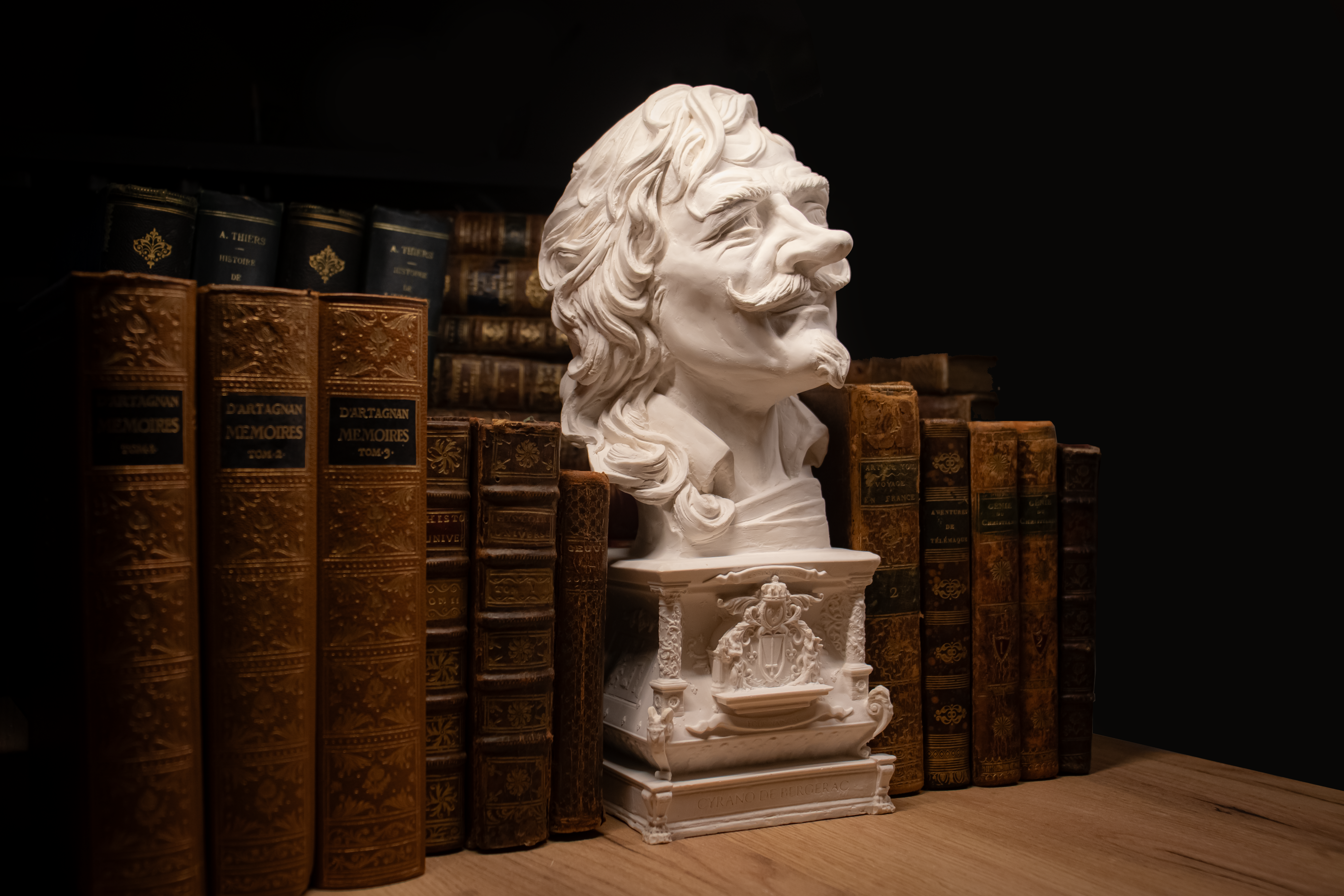 Sculptures de bustes illustres